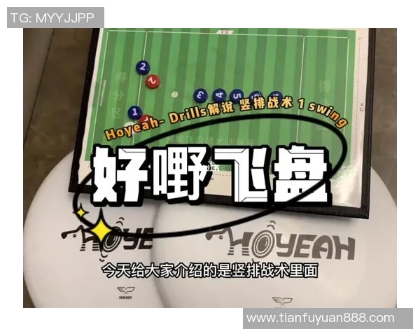 上海飞盘队防反策略分析与战术得失评析