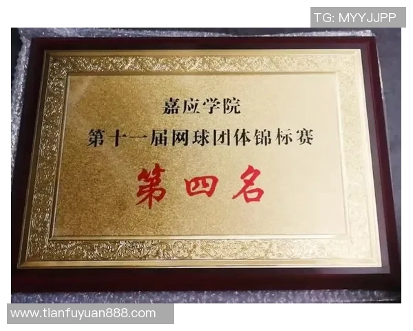 北京网球队个人能力分析与联赛表现评估探讨