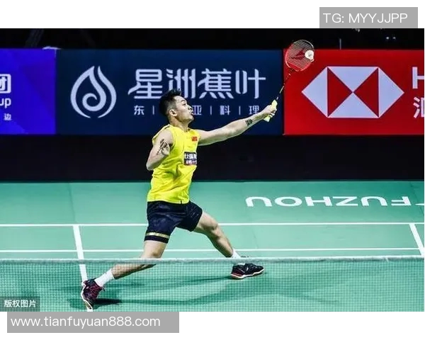 北京羽毛球队技术表现深度数据分析与战术优化研究