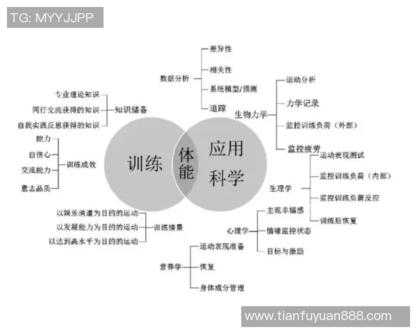 广州排球队灵活性表现的数据分析与战术优化研究 广州排球队灵活性表现的数据分析与战术优化研究